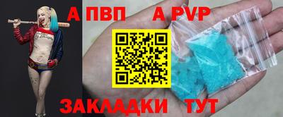 соль ск Кингисепп