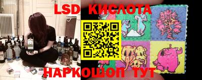 бошки Кимры