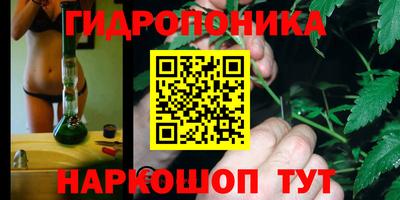 соль ск Кингисепп
