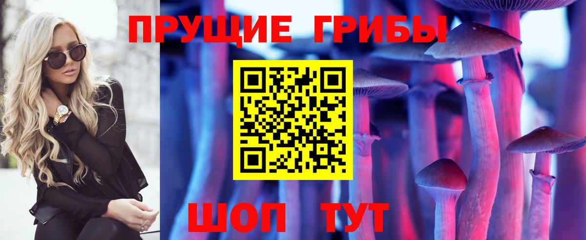 Арзамас  Псилоцибиновые грибы Magic Shrooms  Вход с VPN 